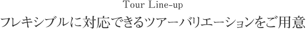 フレキシブルに対応できるツアーバリエーションをご用意