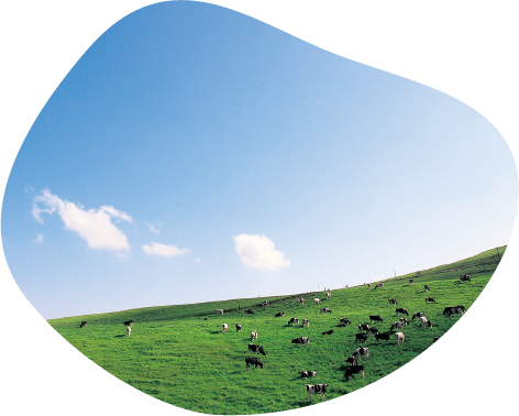 日本一広い公共牧場