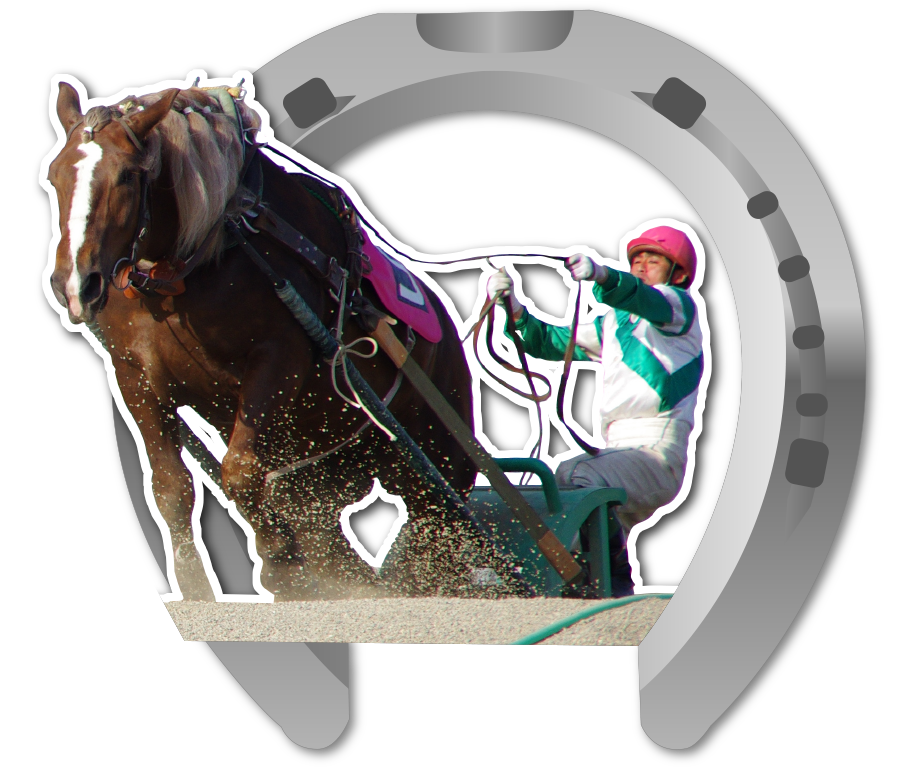 ばんえい十勝（帯広競馬場）